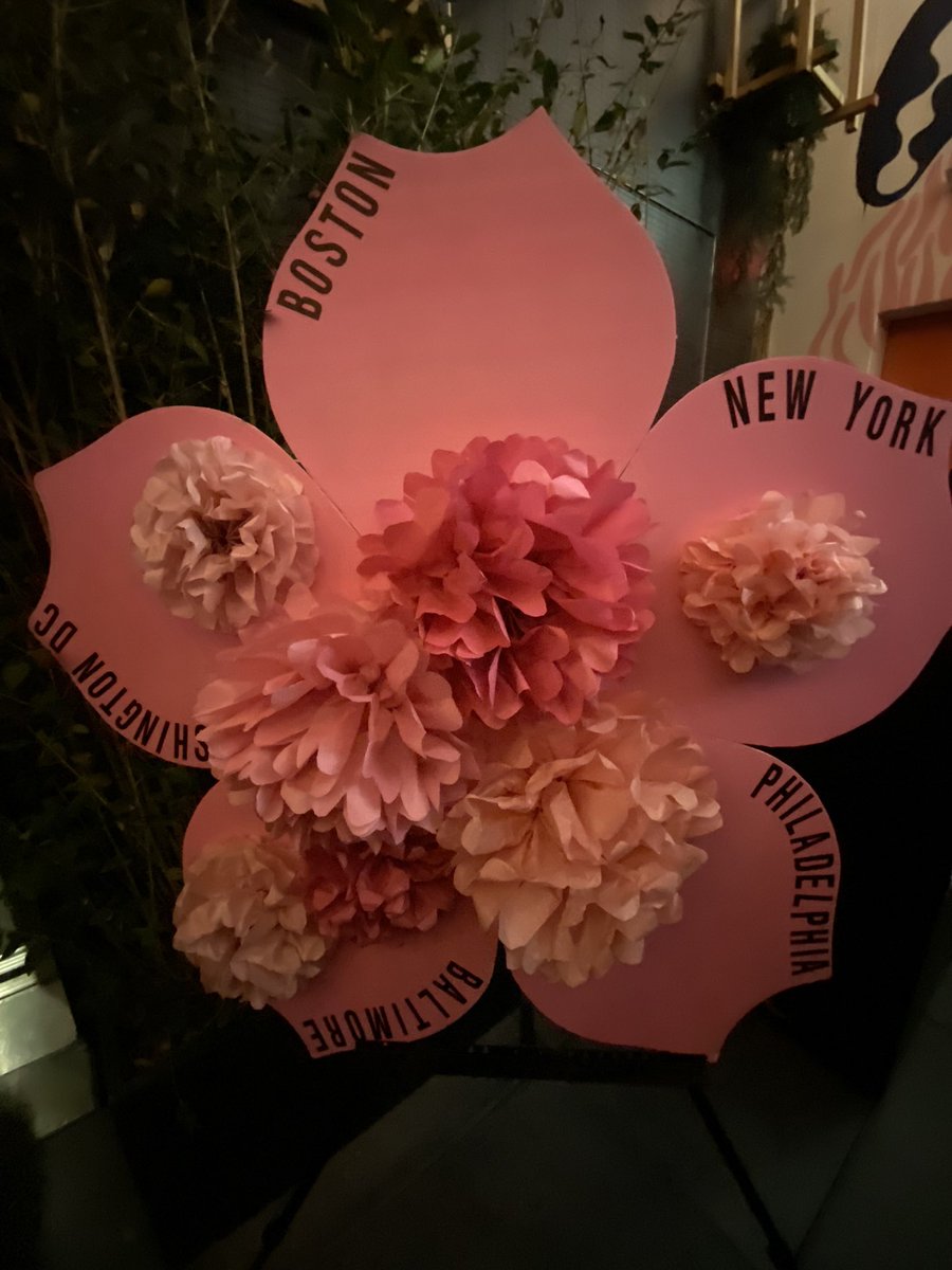 dhaywood99's tweet image. #ExperienceDC🌸💖🌸💖🌸💖 @washingtondc