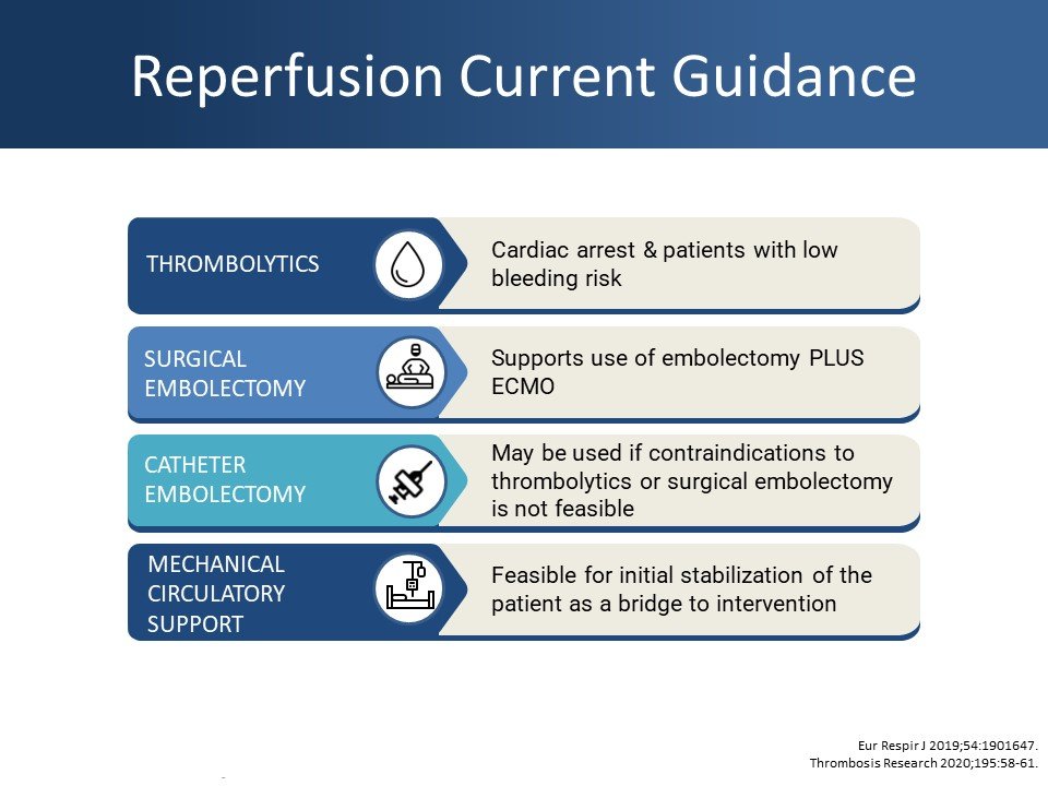 accpcardprn's tweet photo. Don't hold your breath! This week's PGY2 CE Spotlight was created by @rx_abby from @UKPharmRes. She synthesizes recent recommendations regarding PE management to highlight a lack of high quality data supporting one high-risk PE management strategy over another. #rxtwitter https://t.co/D2RJtmHp6U
