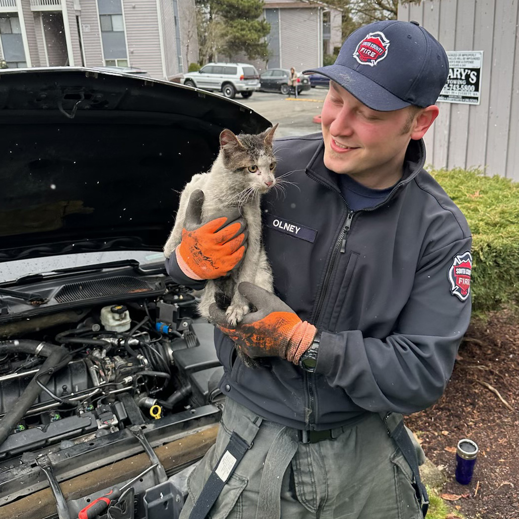 South County Fire on Twitter "Firefighters rescued this cute little