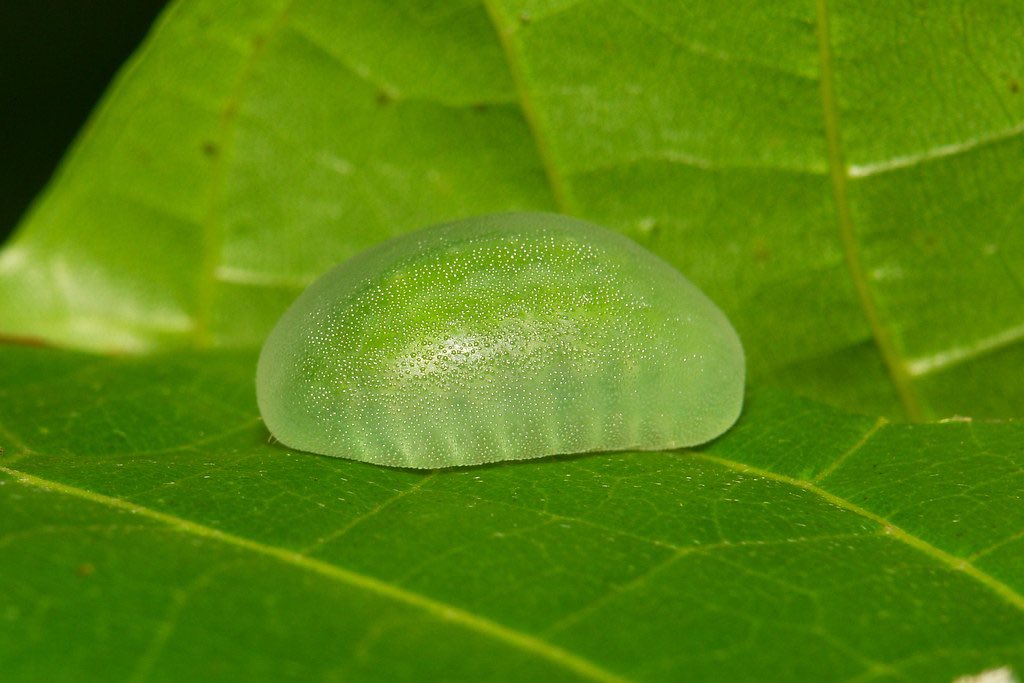 ava brava :D tweet media