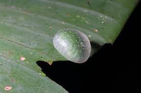 ava brava :D tweet media