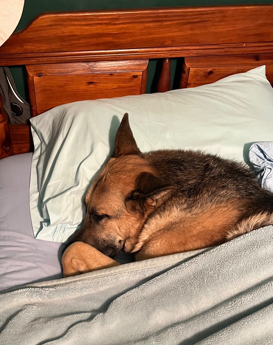 Jake is very tired after his check up at the vet today!!!