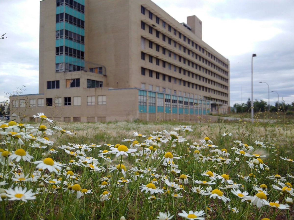 TheMirandaJimmy's tweet photo. I've been invited by the @EdmontonDHS to speak about the #Camsell &amp; #IndianHospitals. If you're in #yeg, come join me March 28th! #yeghistory #yegheritage #truthandreconciliation #truthbeforereconciliation 

https://t.co/FZqBHnfMpx https://t.co/yW0WjwSSSb