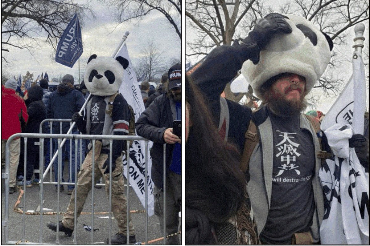 Man dubbed "Sedition Panda" arrested in Lecanto, Florida.  Jesse James Rumson is accused of entering the U.S. Capitol on January 6th and "Assaulting, Resisting, or Impeding Certain Officers" and "Physical Violence in the Capitol Grounds or Buildings." #seditionpanda #January6