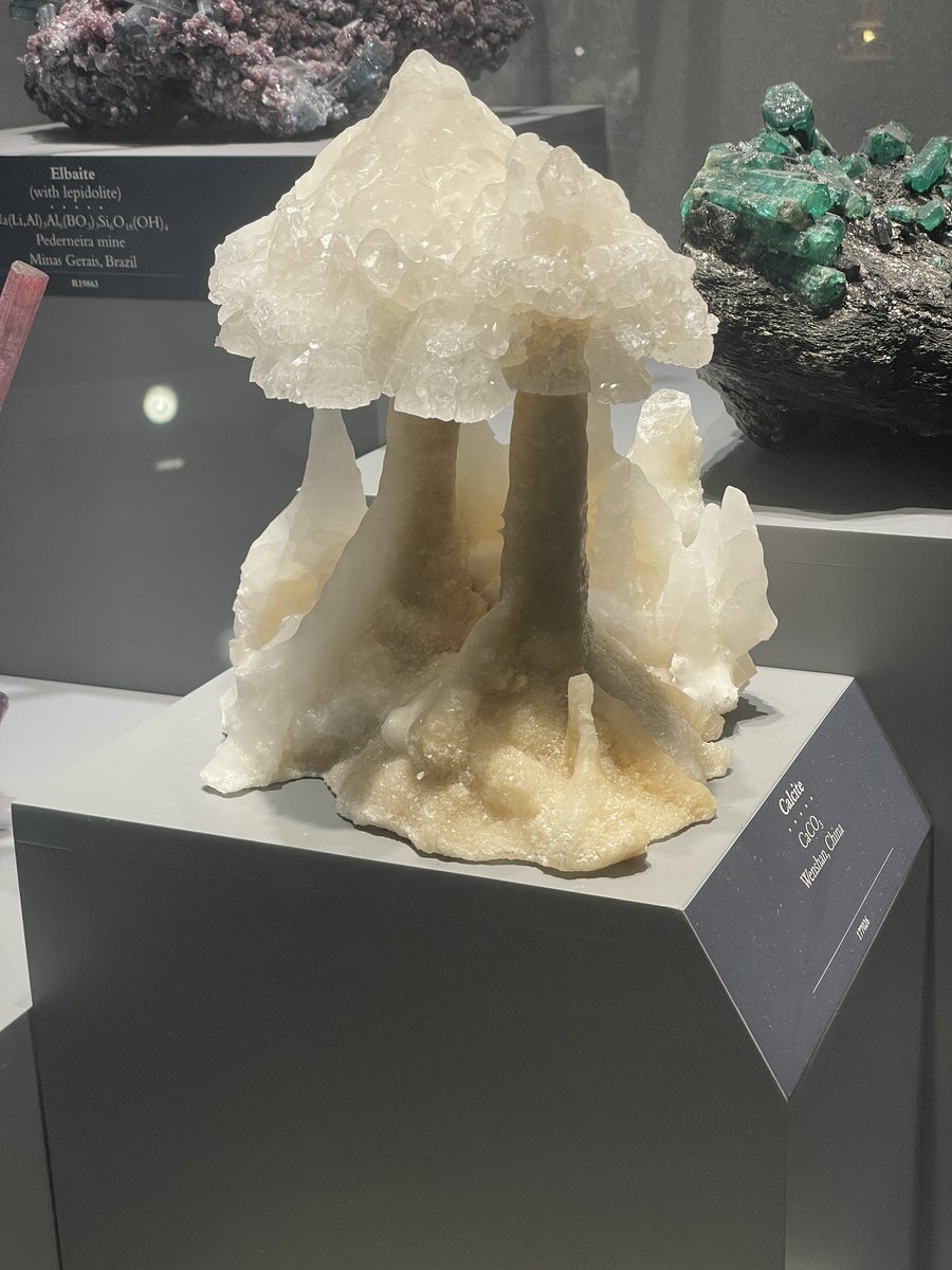 Teacher Leflar tweet media