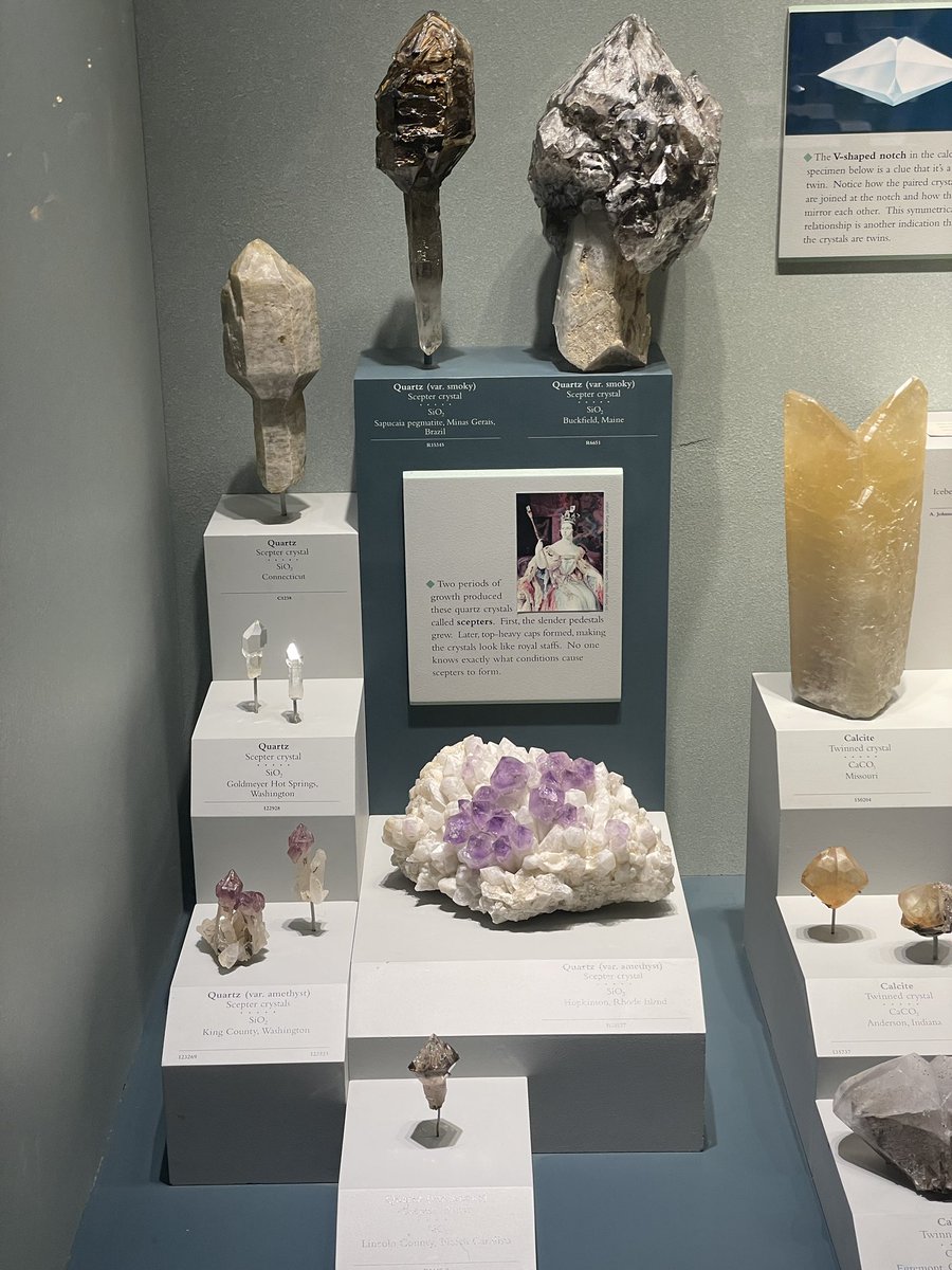 Teacher Leflar tweet media