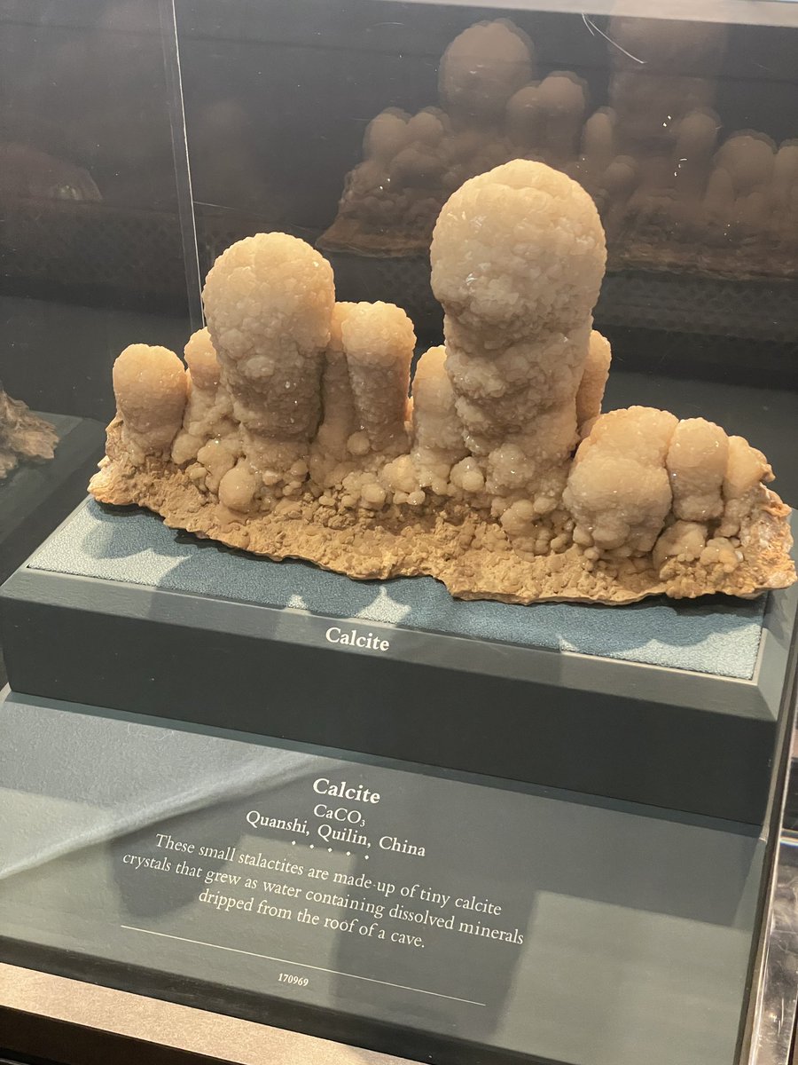 Teacher Leflar tweet media