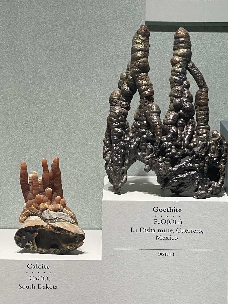 Teacher Leflar tweet media