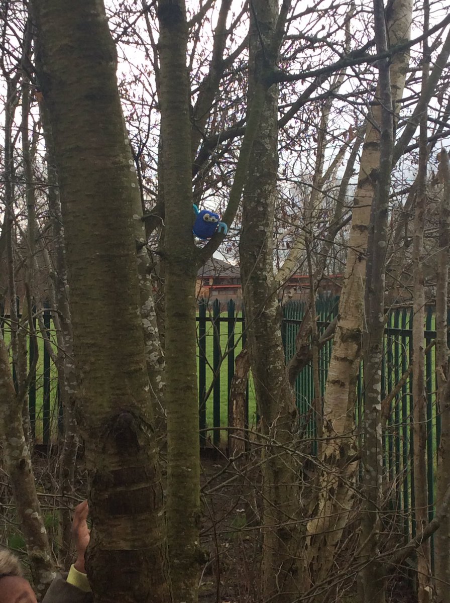 missfenna_MGPA's tweet photo. Today we went to investigate in the forest after a reporting of suspicious noises in the trees. We found lots of blue and silver clues and then we found a creature! Lost of predictions around what it could be and how we can look after it. #EnglishHook #BogBaby @TeamManorGreen 📖 https://t.co/2JQcy80ZFQ