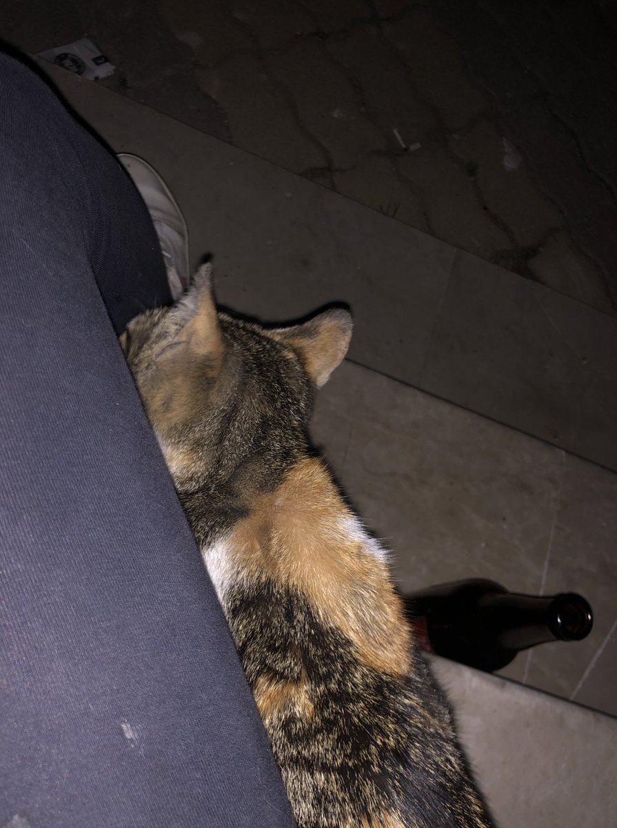 SFA_83's tweet photo. made a new friend على قارعة الطريق https://t.co/Hqe1qWDvRl