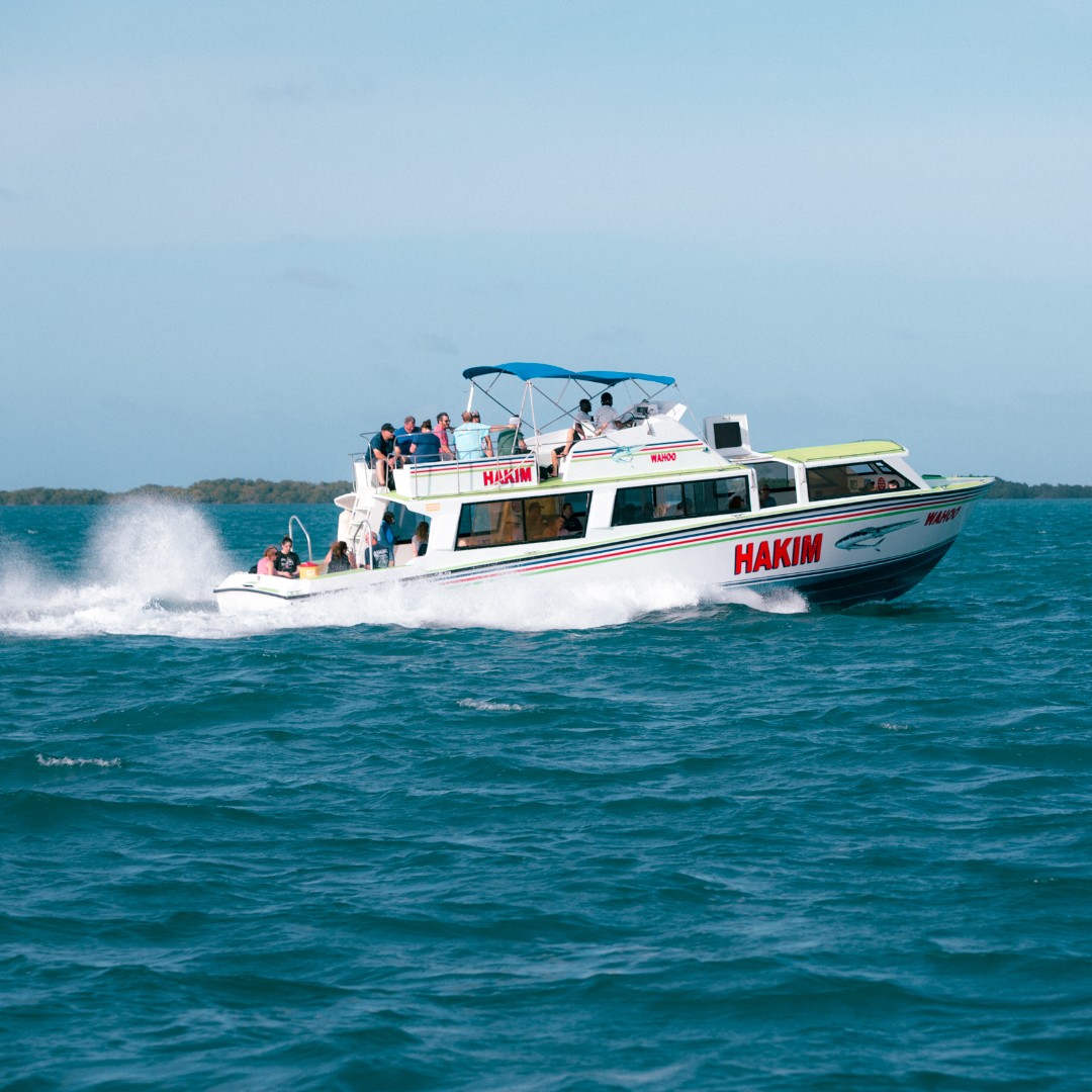 Belize Dive Haven tweet media