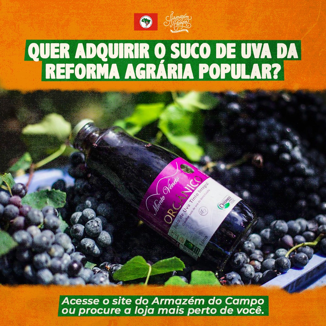 MST Oficial tweet media