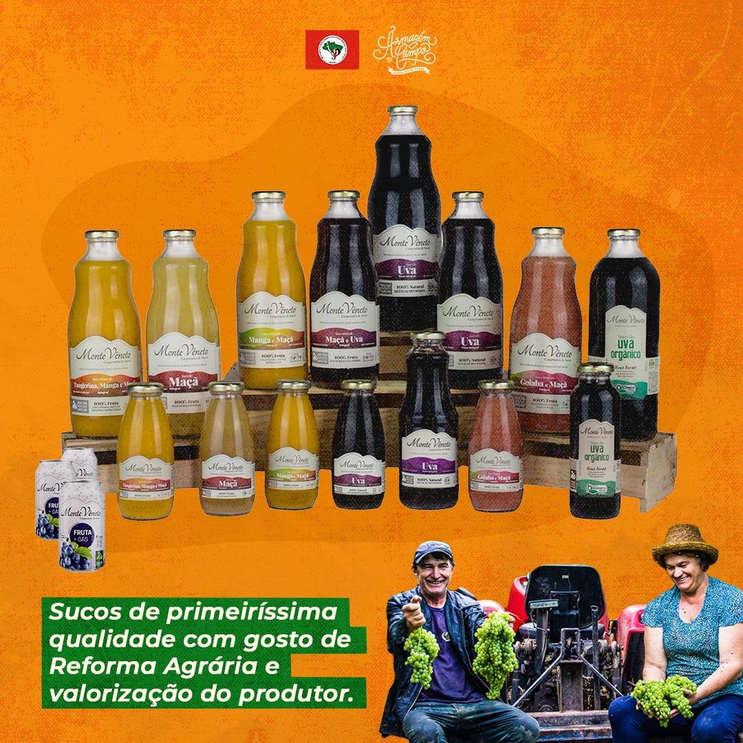 MST Oficial tweet media