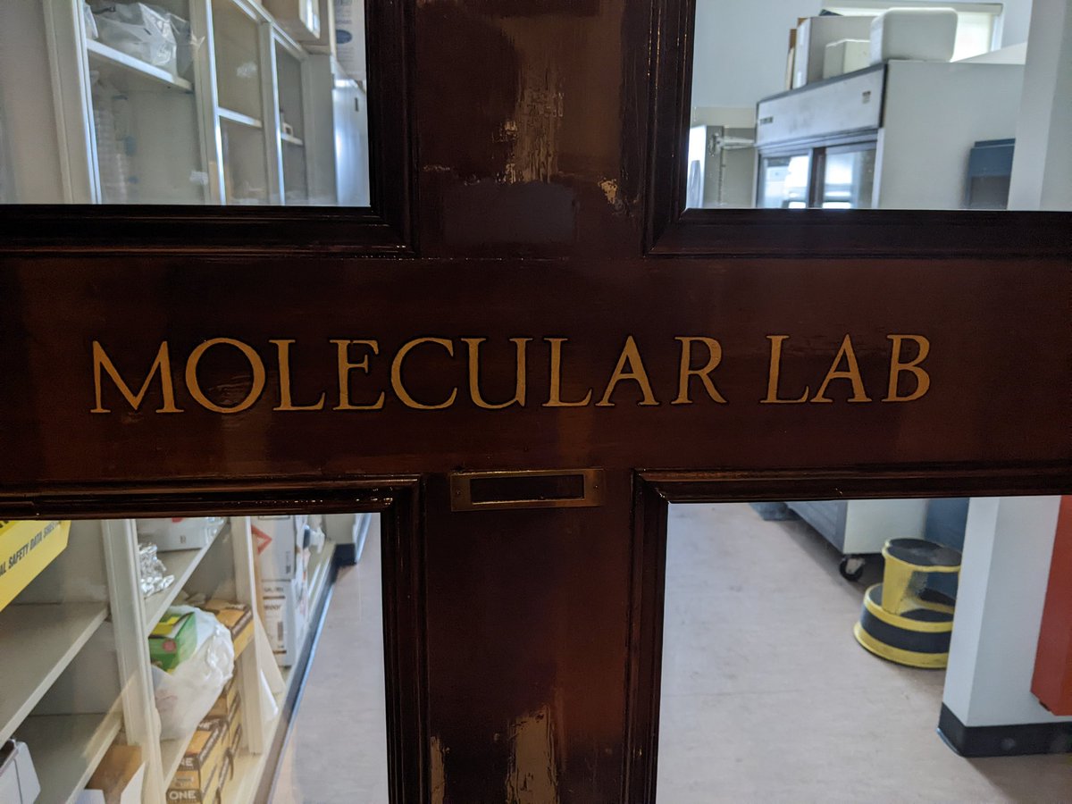 scottmacleod's tweet photo. Am here at #MolecularLab door @ #CarnegieMuseumofNH #PghPA & wondering how @WorldUnivAndSch could create great open #WUaSMolecularLabs on our #PersonalComputers w molecule #FilmTo3dApps to research our own #AvatarBotElectronicMedicalRecords & #WUaSplay w #AgingReversalMolecules ~ https://t.co/FdrLJz5YBv