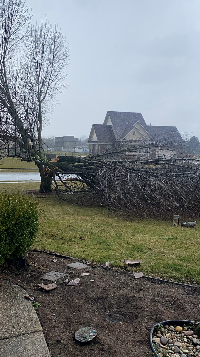 allisonkmoore's tweet photo. Aftermath from this afternoons storms in Fortville.
@WTHRcom @ChuckWTHR 
#wthr #weatheraware https://t.co/I0vlWw3LiL