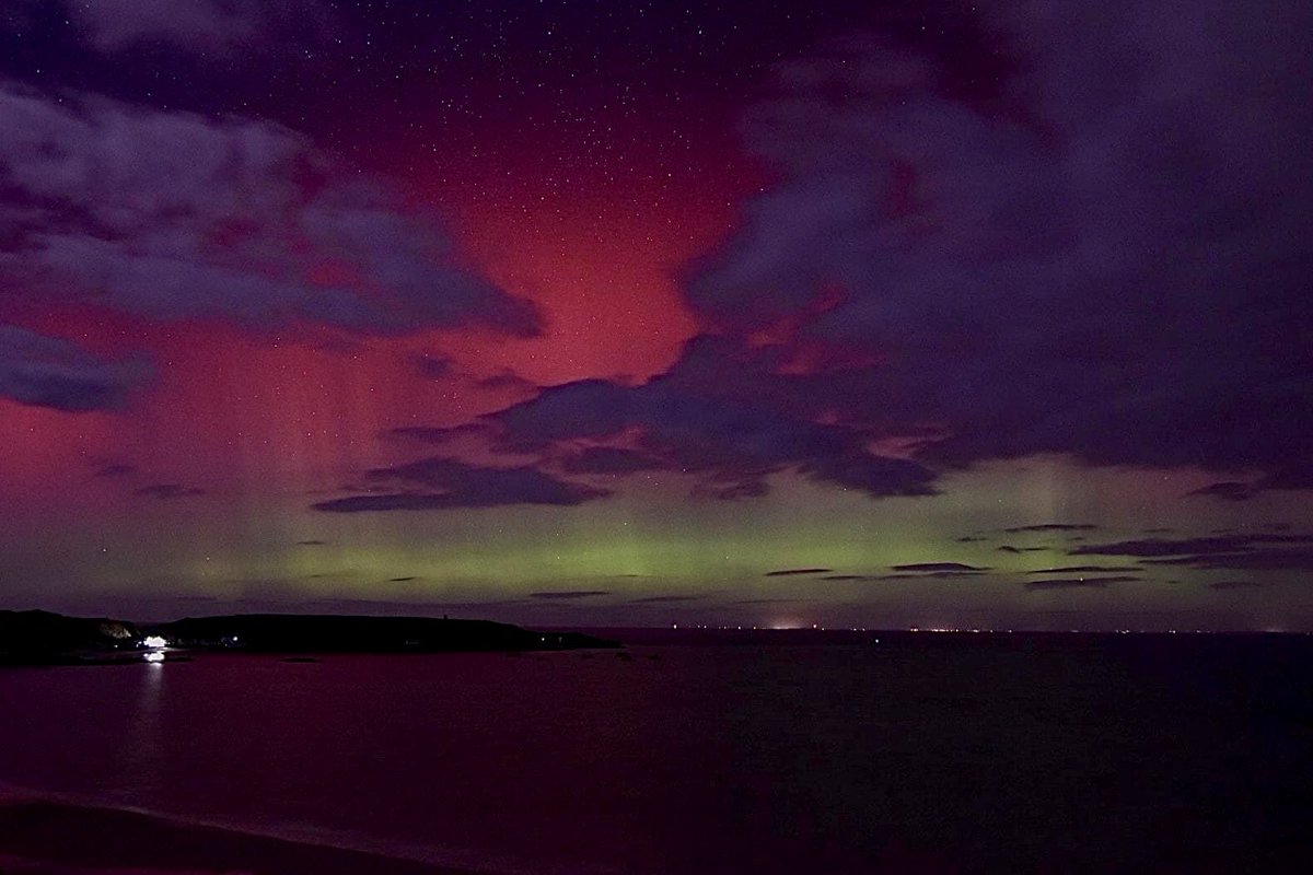 Dylan Williams tweet media