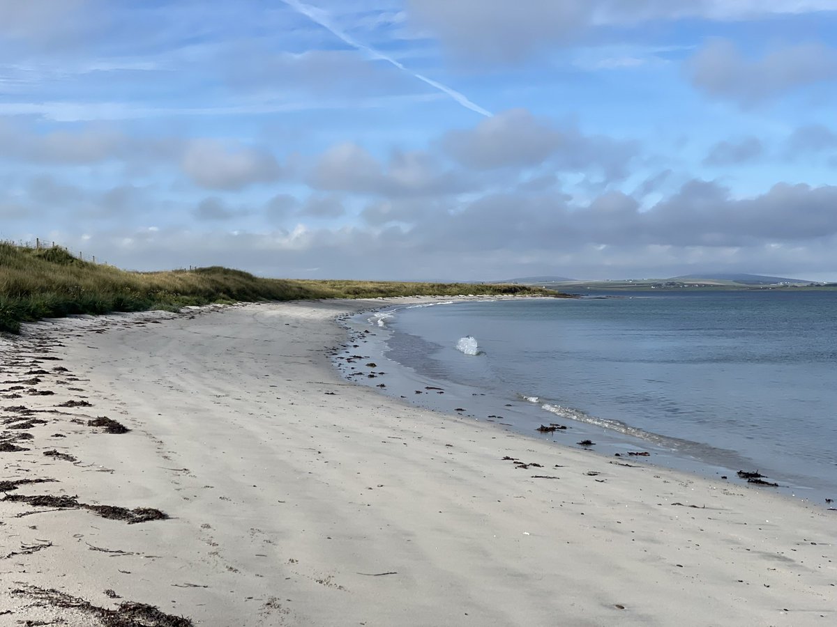 #pharmacytechnician #pharmacyjobs #remoteandrural #Orkney #NorthernLights #beautifulbeaches #generalpractice #SpreadTheWord express.adobe.com/page/Med50g8DZ… We would love you to #jointheteam in #primarycarepharmacy 🤗