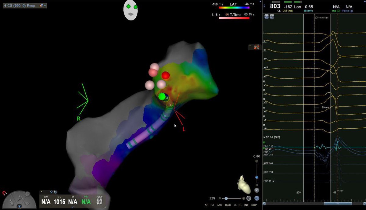 Dr Husain Shabeeh tweet media