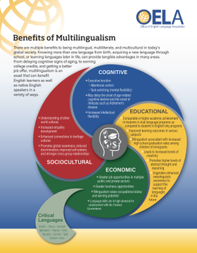 DLELnetwork's tweet photo. Working  to convince parents about Multilingual school program opportunities?
OELA (federal Office of English Learner Acquisition)  now offers the "Benefits of Multilingualism" infographics in English, Spanish, Arabic and Chinese!
https://t.co/h3DTnoaSRU . https://t.co/wsnbOKjgxh