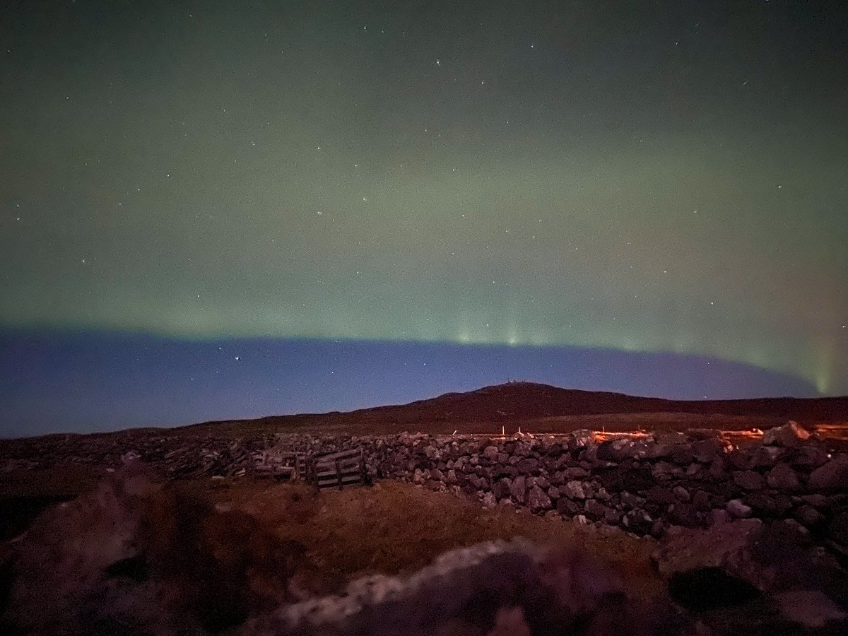 Stacey Macdonald tweet media