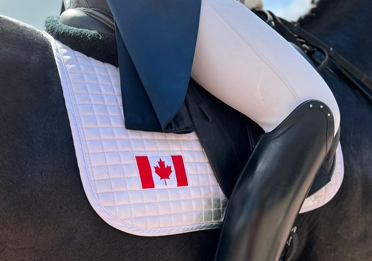 REMINDER: Applications due March 1 for EC's Operational Committees
Apply today // Postulez dès aujourd'hui  ➡️ ow.ly/kWxe50N42xr 
RAPPEL : La date limite de candidature pour les comités des opérations de CE est le 1er mars.