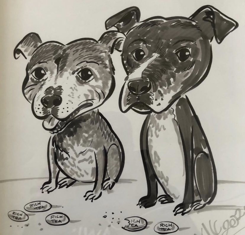 Caricature drawing of my doggies ❤️😍🥰 I love it .. #staffy #caricature #drawing #dog #pooches #doglover #dogtweets #furbabies #pets #animallovers xx