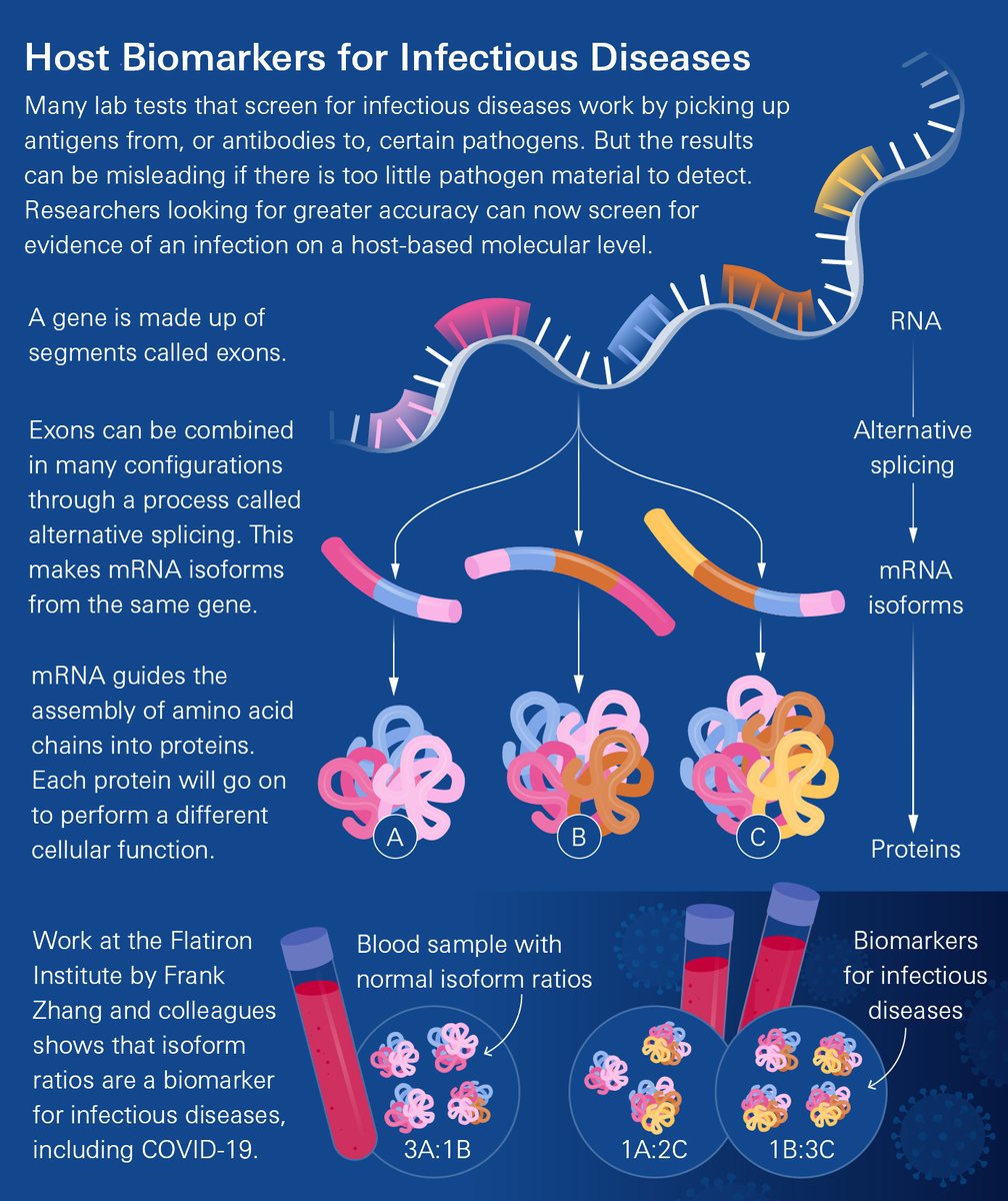 Thomas Sumner (@thomassumner) on Twitter photo A new method diagnoses COVID-19 patients with near-perfect accuracy (98.4%!) without waiting for symptoms.
The approach inspects the body's immune response at a molecular level, measuring changes in the mix of mRNA.
<a href="/FlatironInst/">Flatiron Institute</a> <a href="/FlatironCCB/">Flatiron CCB</a> <a href="/SimonsFdn/">Simons Foundation</a>
simonsfoundation.org/2023/02/27/new… A new method diagnoses COVID-19 patients with near-perfect accuracy (98.4%!) without waiting for symptoms.
The approach inspects the body's immune response at a molecular level, measuring changes in the mix of mRNA.
<a href="/FlatironInst/">Flatiron Institute</a> <a href="/FlatironCCB/">Flatiron CCB</a> <a href="/SimonsFdn/">Simons Foundation</a>
simonsfoundation.org/2023/02/27/new…