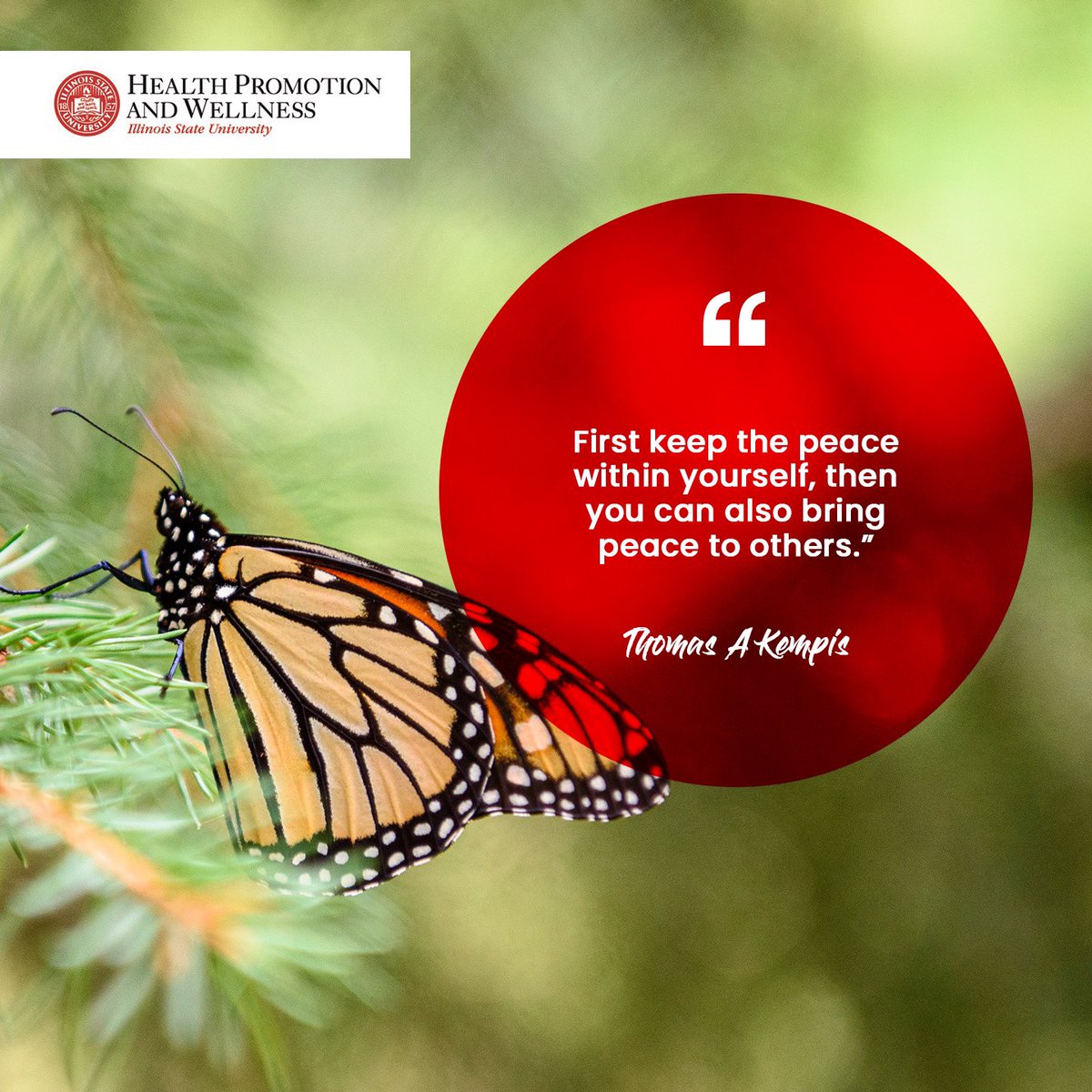 Redbird Well tweet media