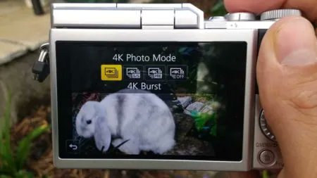 8K_Association's tweet image. What is downsampling in video (and how to do it)? 

buff.ly/3K0NrC6 
#8kvideo #downsampling #8k #8ka #8kassociation