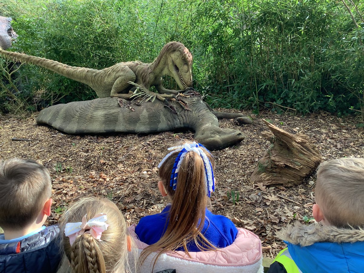 Year 1 Layton tweet media