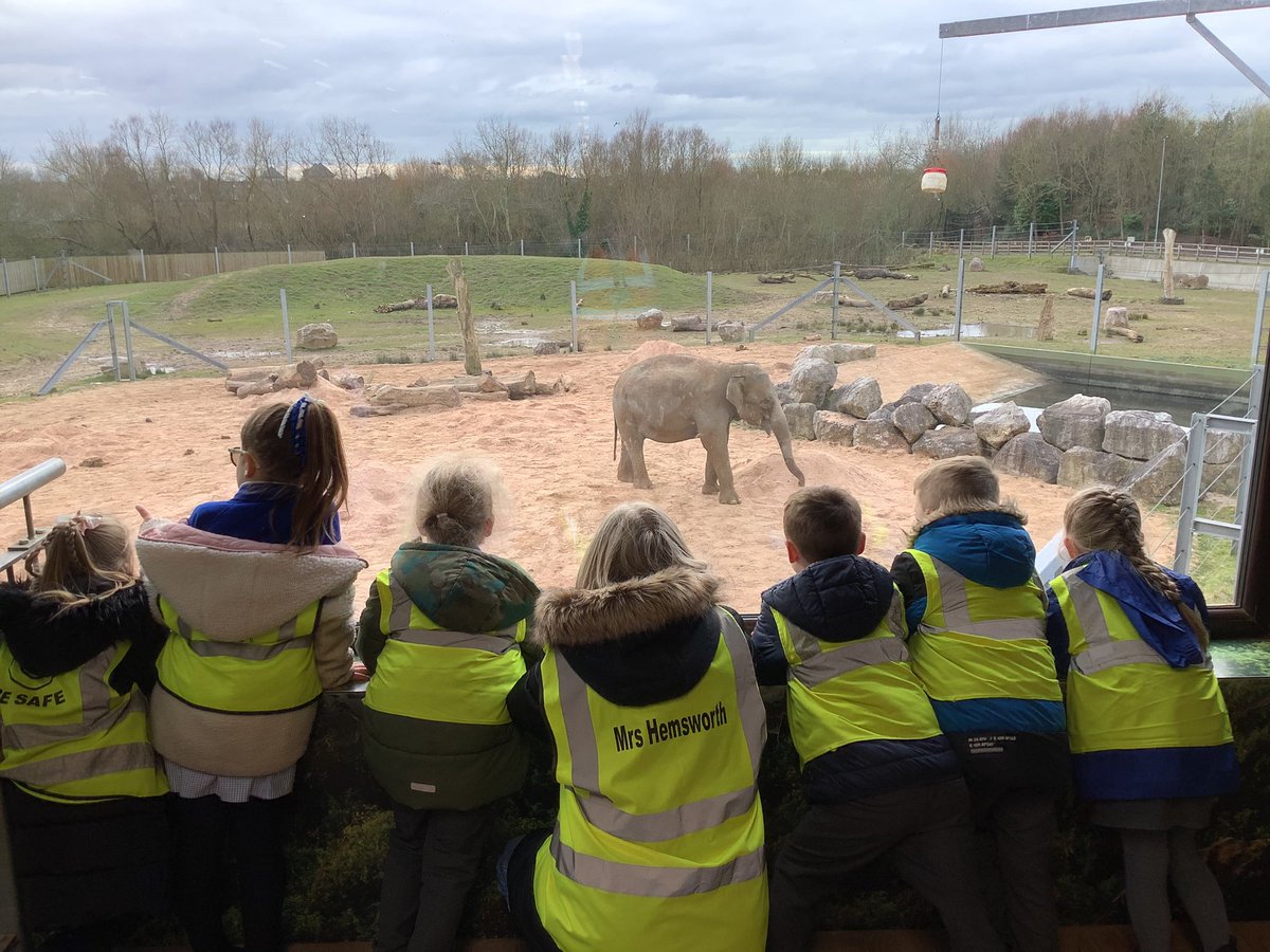 Year 1 Layton tweet media