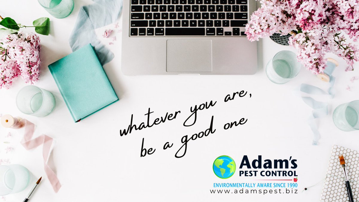 Call today and become part
of the 🌎Adam’s Family!
_______________________________

Follow us on FB, IG &amp; Twitter
@AdamsPestControl
adamspest.biz

☎️ 1-888-959-8279