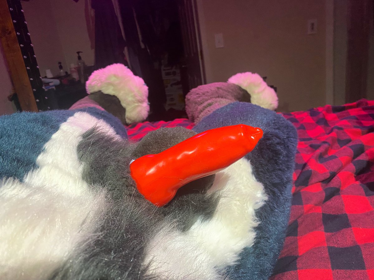 Walf - Hawaii tweet media