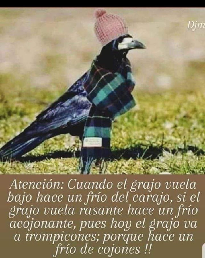 FranChu_RL's tweet photo. En Valleseco el grajo va rasante @GranCTimes 
@edersa10 Por ahí qué tal, hoy va a trompicones, no? 😄🥶
Mucha suerte a partir del sábado, a ver si salís del bache 😉 https://t.co/54Pm1qt1Qs