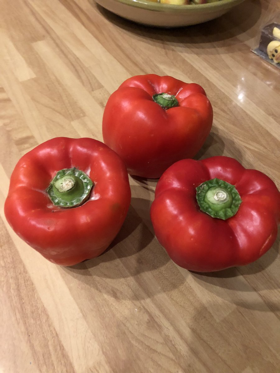 Craig Brough tweet media