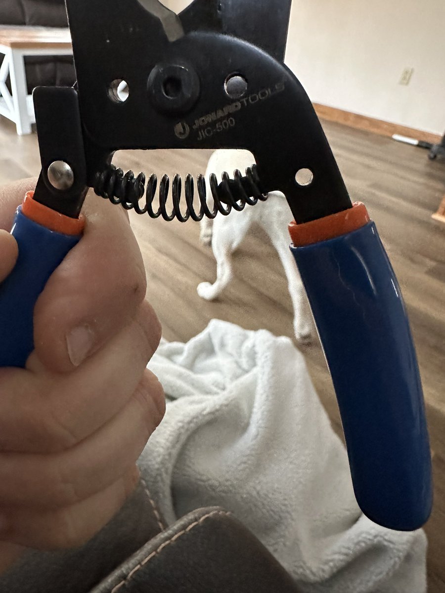ajsweet13's tweet photo. Sometimes you have to give your fur princess a manny peddy, Jonard tools for the win these wire snips make a great dog grooming tool. Reba Rose approves!
@JonardTools https://t.co/56dhryRuA6