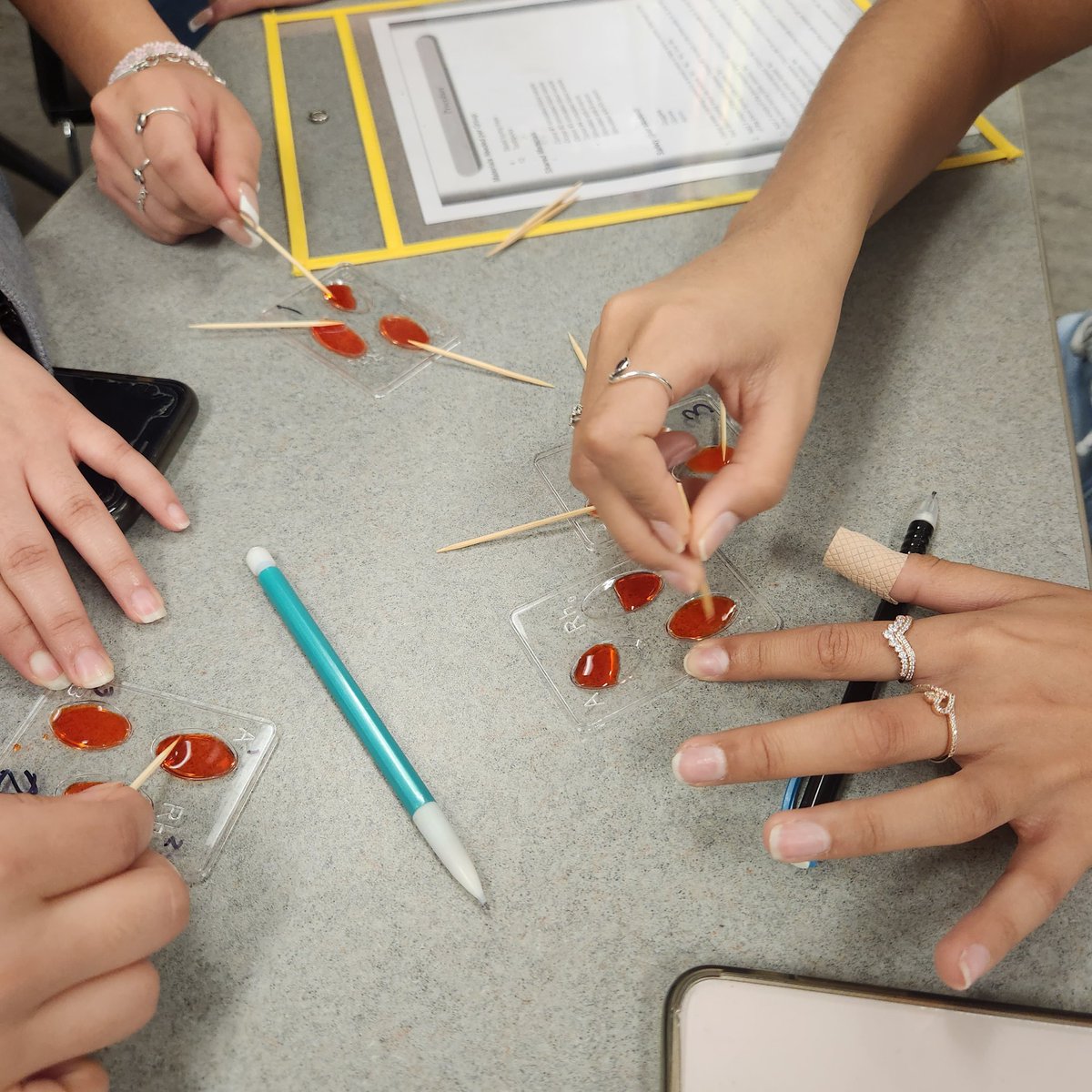 cruzmissy8's tweet image. Wrapping up the lymphatic system with a simulated blood typing lab. Do you know your blood type??
@CanalesC_CTE 
@PISDCareerTech 
#PISDCTE
#PISDCTEMONTH2023
#PISDCTEAllstars
#CMA