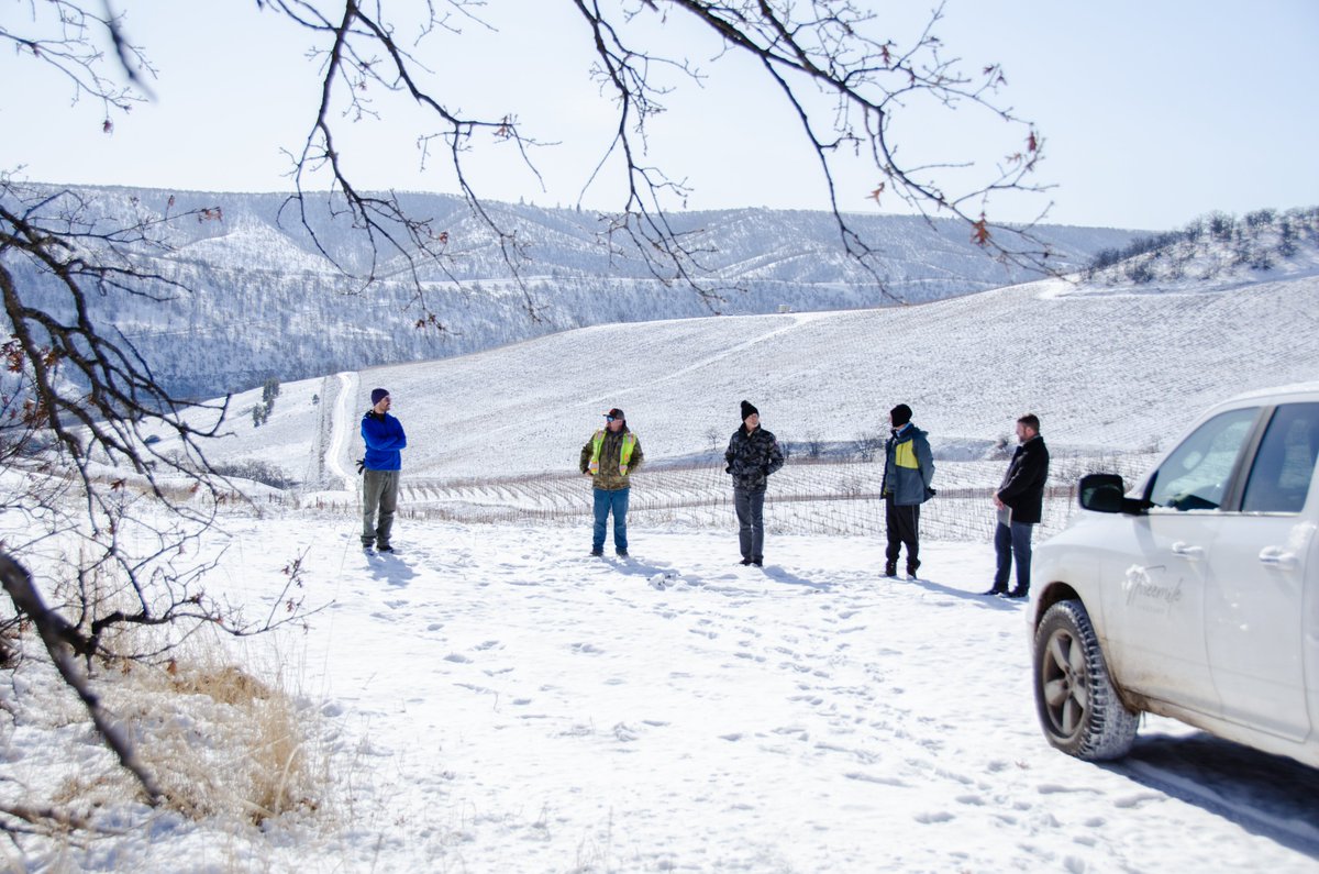 The team: Edwin, David, Joe, Stewart, and Craig work together to layout the stakes for road excavation in the snow. 

#snow #excavation #roadbuilding #vineyard #teamwork #development #building #expand #team  #threemilevineyard #thedalles #Oregon