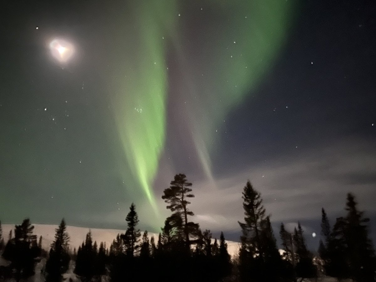 abillner's tweet photo. Sweden right now 😍 https://t.co/B9TX762eAK