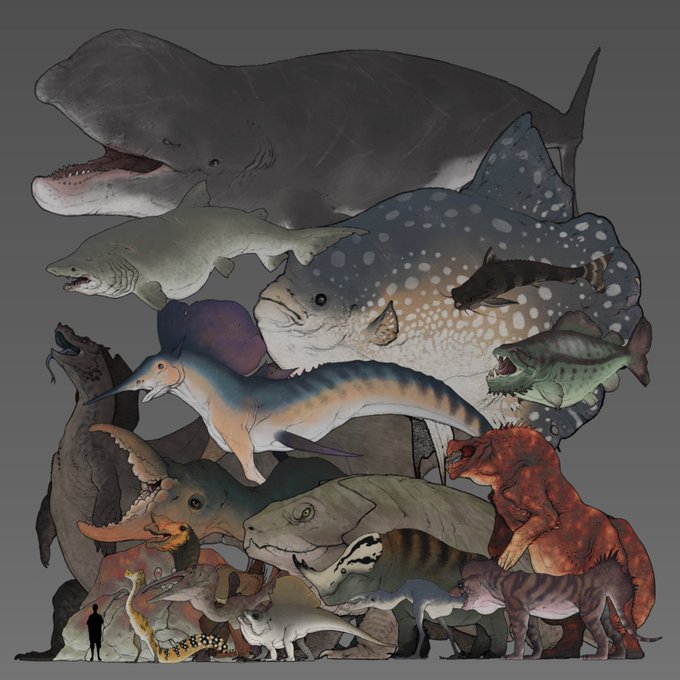 「dinosaur shark」 illustration images(Latest)