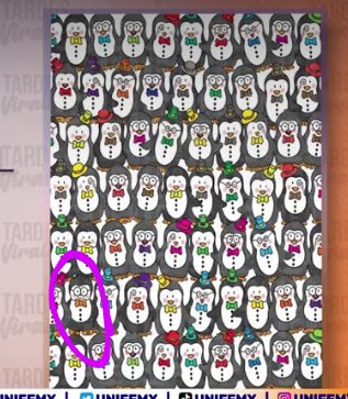 Jessica50346958's tweet photo. La encontré 🥳🥳#tardesvirales https://t.co/DX4vAfyG7d