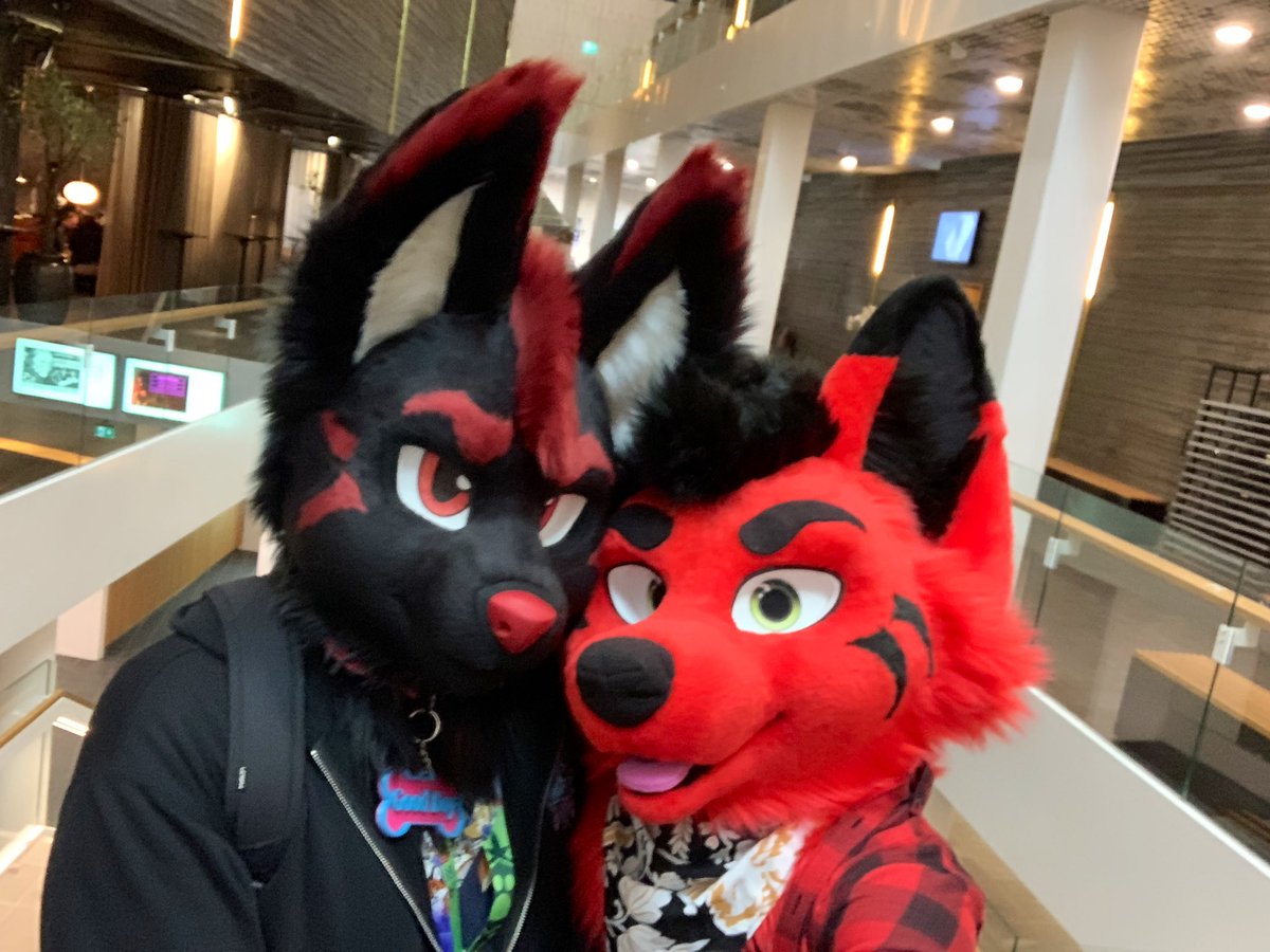 Was having a great time at <a href="/NFC2023/">محمد خالد</a> with my foxxo <a href="/SyndraFox/">Syndra</a> ❤️🦊