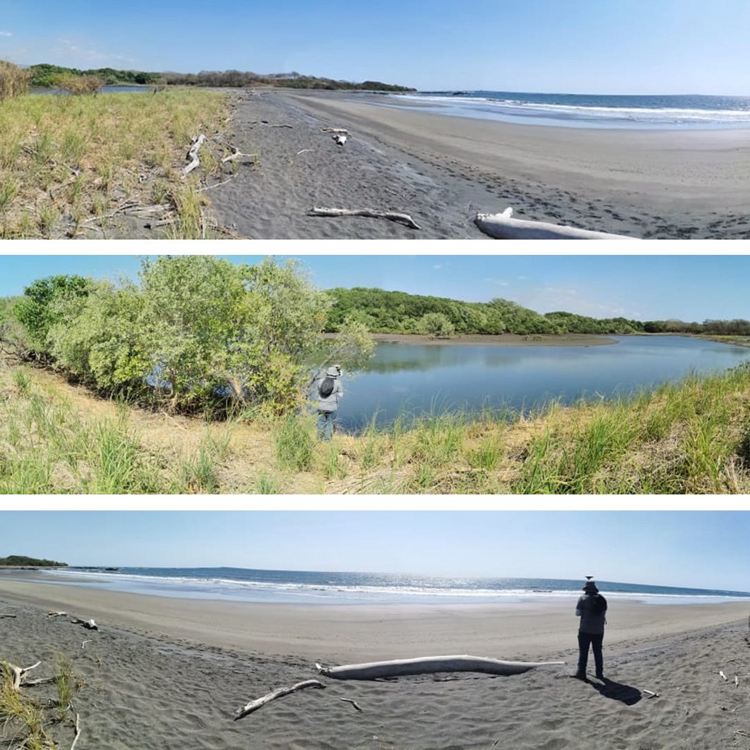 Stereocarto_'s tweet photo. Hoy técnicos de Stereocarto dieron inicio a los estudios topográficos para la delimitación de terrenos que califiquen como patrimonio natural del Estado en el área costera del cantón Santa Cruz, Guanacaste, Costa Rica. https://t.co/pBDbYxteu7