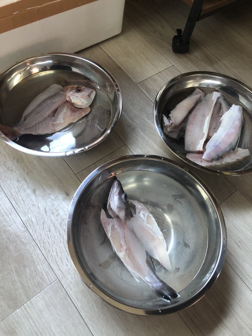 と、考えた訳ですが、しかし先日初めて行ったザシングル同様、初対面の心中何を考えてるか読めない相手と交流し、更にはこちらの性に属する要望を金の力を使って叶えるというのは初めてであり未知の恐怖を覚えています

私自身何も異性との触れ合いは初めてでは無いのですがそういった特殊性が 