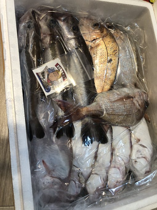 なんだかまだ受け入れられず(そういった器官が発達してないイメージ)未知との遭遇に底知れぬ恐怖を感じている訳であります。

今回は添い寝メインで射精は極力しない方向で考えています(とは言え女性をいざ前にして男性性を御せるかは分かりません)

私は生きてきた中で添い寝、つまりは 