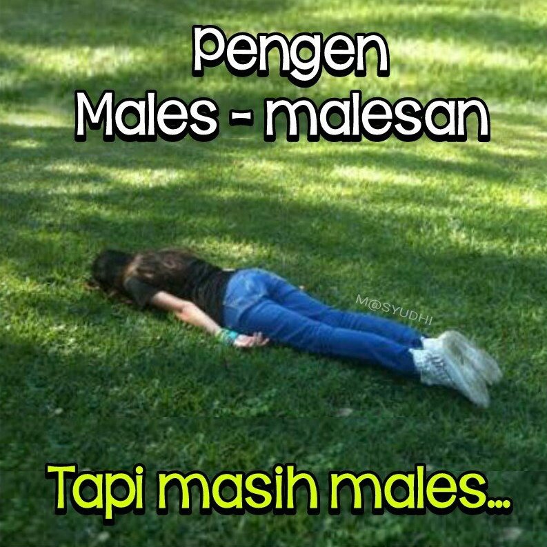 somexrecom's tweet photo. Kumpulan BARANG UNIK anti mager!!!
• save dulu, ada duit gas

- a thread - https://t.co/3vEKtkSgXs