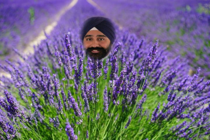How am I supposed to water my Ravinder lavender <a href="/RaviBhalla/">Ravinder S. Bhalla</a>? #hoboken