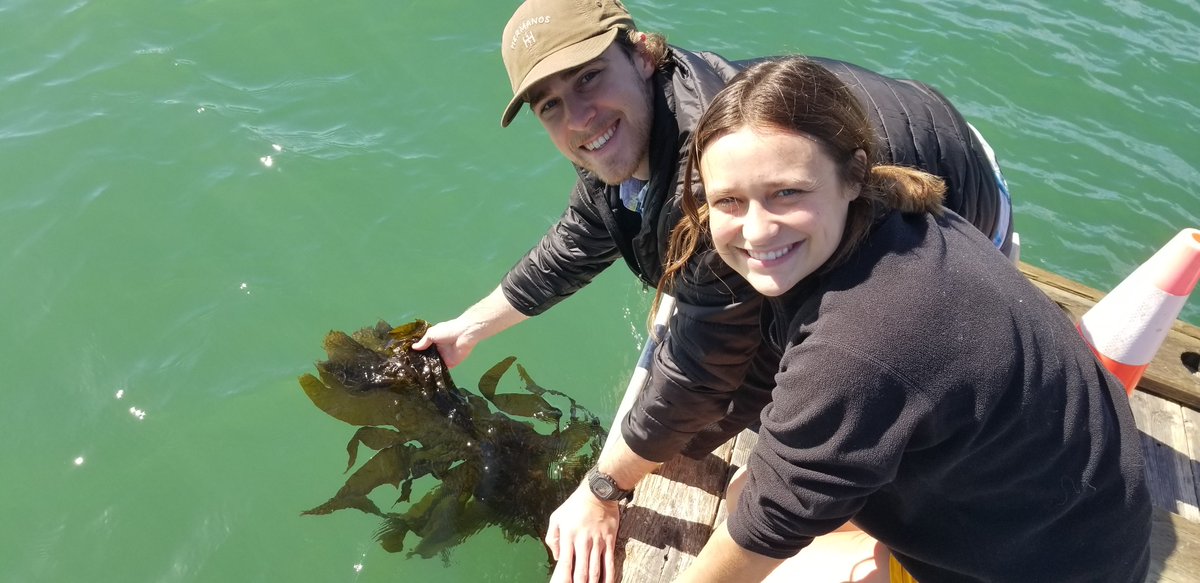 CofC School of Natural and Environmental Sciences tweet media