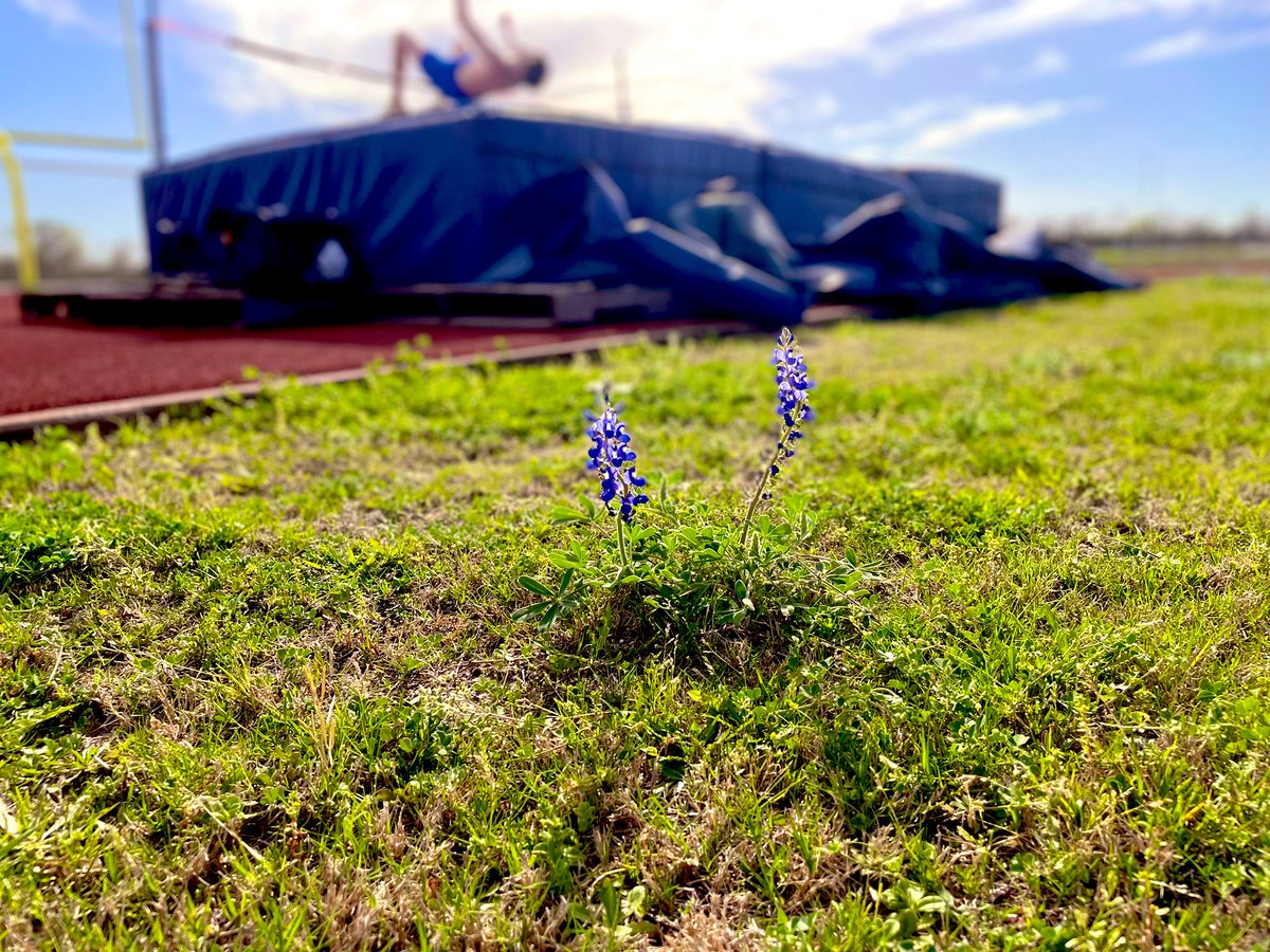 LCHS boys track tweet media