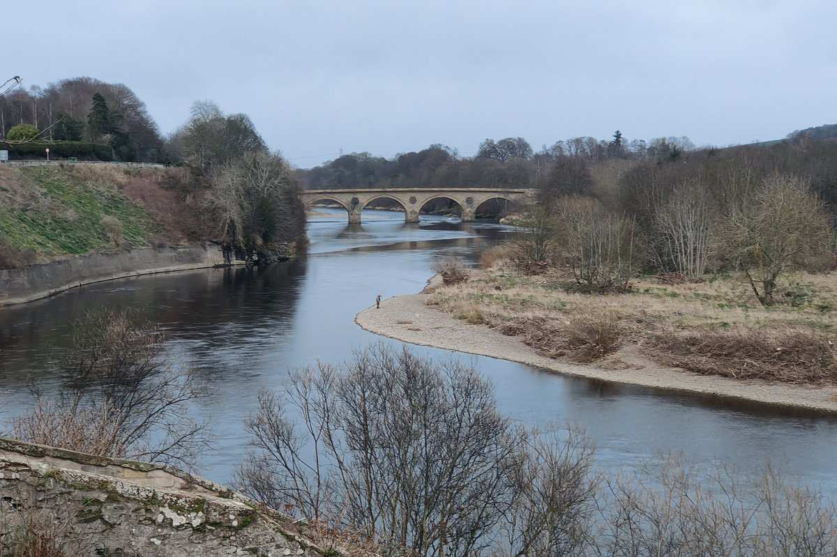 A lone fisherman on the mighty #RiverTweed this afternoon.